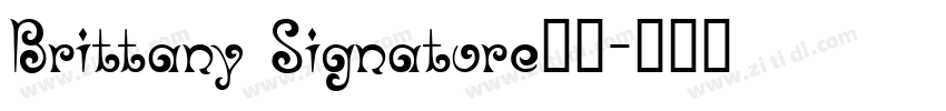 Brittany Signature字体字体转换 Brittany Signature字体字体转换